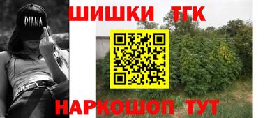 крисы Нальчик