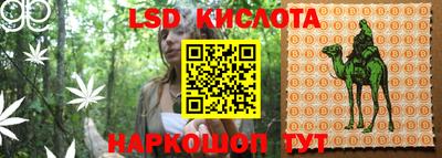крисы Нальчик