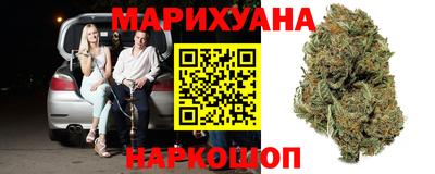 крисы Нальчик