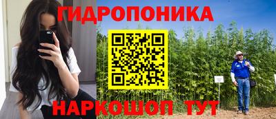 крисы Нальчик