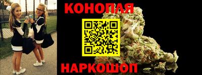 крисы Нальчик