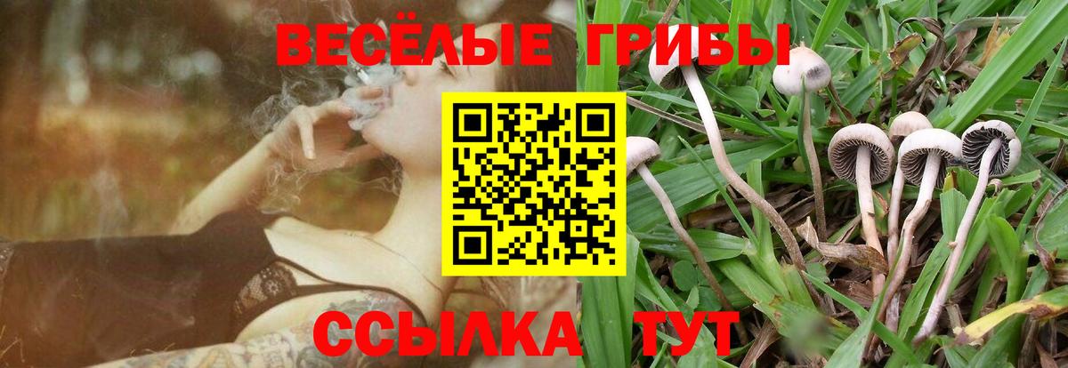 Псилоцибиновые грибы MAGIC MUSHROOMS Строитель